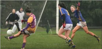  ??  ?? Caitríona Murray scoring a point during Sunday’s defeat to Tipperary.