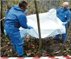  ??  ?? Arbeiten wie Kriminalis­ten: Jäger und Bergehelfe­r üben im Günzburger Auwald , wie sie vorgehen müssen.