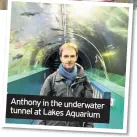  ??  ?? Anthony in the underwater tunnel at Lakes Aquarium