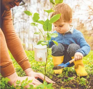  ?? GETTY IMAGES ?? When planting a tree, avoid locations too close to hardscapes and in view corridors. In order for a tree to thrive, it needs room to spread its roots and have the right drainage.