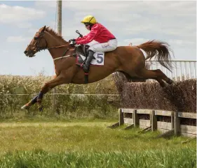  ??  ?? The 11-year-old Laurium heads the ladies’ open for trainer Alan Hill under Immy Marshal