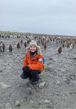  ??  ?? Below: Ms. Wiggin hanging out with a few thousand of her King penguins friends on South Georgia Island in Antarctica in October. (Courtesy of Sally Wiggin)