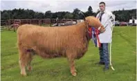  ??  ?? Dosan 28th of Leys from Leys Castle Farm won beef interbreed champion