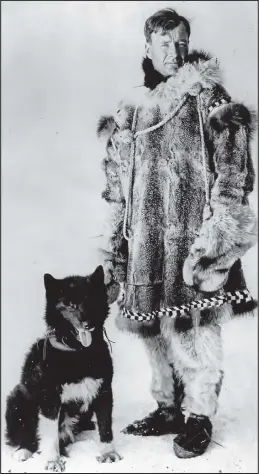  ?? Photo courtesy Carrie M. McLain Memorial Museum ?? BALTO’S DNA— Researcher­s with the University of Cornell found that Balto shares just part of his diverse ancestry with the eponymous Siberian husky breed and was more geneticall­y diverse than both modern breeds and working sled dogs. Balto is pictured here with musher Gunnar Kaasen.
