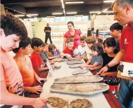  ??  ?? Com as mãos. Peças menos raras podem ser tocadas pelos visitantes