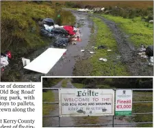  ??  ?? The shocking pictures of illegal dumping on the Old Bog Road, now under investigat­ion by Kerry County Council.