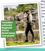  ??  ?? Yorkshire collector Reginald Farrer found many new plants
