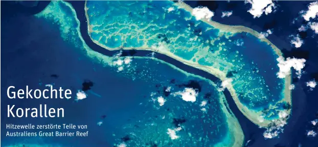  ?? Foto: dpa/NASA ?? Das Handout der NASA zeigt das Great Barrier Reef, fotografie­rt von der ISS aus.