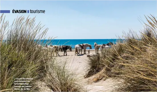  ??  ?? Les pas des chevaux vous mèneront sur la mythique plage sauvage des SaintesMar­ies-de-la-Mer.