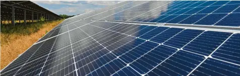  ?? Foto: Patrick Pleul, dpa (Symbolbild) ?? Energie ist so teuer wie nie. Auch deshalb wollen immer mehr Investoren neue Solarparks bauen. In Dinkelsche­rben soll es unter anderem dafür neue Regeln geben.