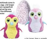  ??  ?? Hatchimals come in an egg a bit larger than a grapefruit and can be one of five different species
