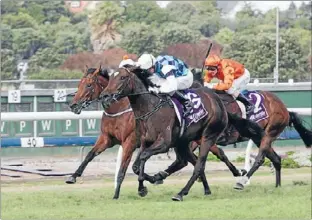  ?? Photo: TRISH DUNELL ?? Five derbys: Vinnie Colgan makes it five New Zealand Derby victories as he gets the favourite Habibi home first ahead of the gallant filly Fix.