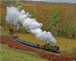  ?? ?? GWR 2-6-2T No.8 Llywelyn approaches Nantyronen with a goods train on the Vale of Rheidol on Sunday, November 6. JOHN TITLOW