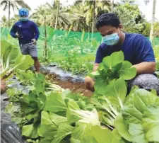  ??  ?? KSK Farmers during training