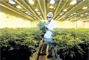  ?? OTTAWA CITIZEN FILES ?? Canopy Growth Corp. posted a 180 per cent increase in its revenue, but missed analysts estimates after a lack of product limited third quarter sales.