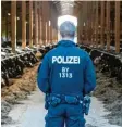  ??  ?? Mehrere Großbetrie­be im Allgäu waren vor etwa eineinhalb Jahren Schauplatz von Polizeiraz­zien.