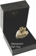  ??  ?? Alessandro Dari ring