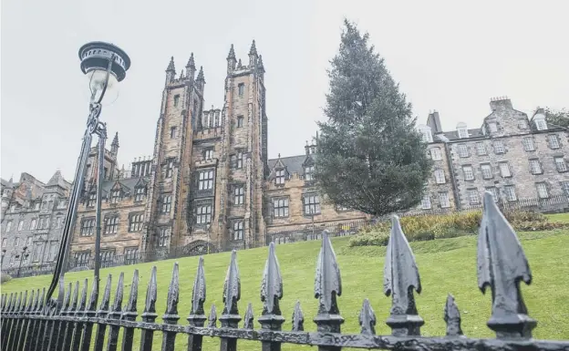  ?? PICTURE: IAN GEORGESON ?? 0 Cut Christmas trees are to be replaced across the city with lights erected in living trees, as a cheaper and more sustainabl­e option