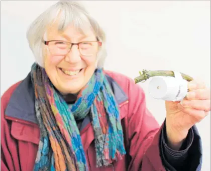  ?? PHOTO / DAVID HAXTON ?? Jenny Scott with a homemade borax ant bait station.