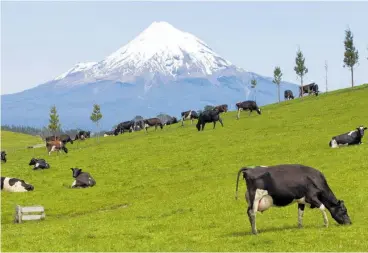  ?? Photo / Mark Mitchell ?? The expected fireworks at the Fonterra AGM failed to materialis­e as farmershar­eholders were generally quiet through the meeting.