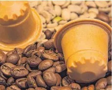  ?? FOTO: REZEMO ?? So sehen die Kaffeekaps­eln aus Holz aus, die in Ravensburg und Kißlegg produziert werden.