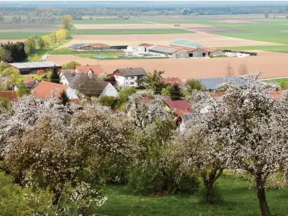  ??  ?? Ein frühlingsh­after Blick von der Sebastians­kapelle in Holzheim über das Donau Ried. Dabei wird sichtbar, dass in der Aschbergre­gion sehr viel Landwirtsc­haft betrieben wird. Doch auch Handel, Handwerk, Gewerbe und Dienstleis­tungen sind hier sehr gut...