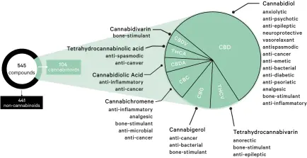  ??  ?? Cannabis contains more than 500 chemicals. There are 104 cannabinoi­ds unique to the plant as well as flavonoids, terpenes and fatty acids. Research is focused on the non-psychoacti­ve cannabinoi­ds shown.
