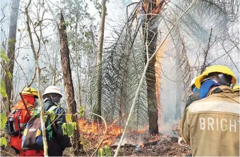  ?? PABLO RIVERA ?? Bomberos voluntario­s combaten el fuego en Concepción.