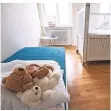  ?? FOTO: DPA ?? Kuscheltie­re liegen auf einem Bett in einem Kinderhosp­iz.