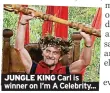  ?? ?? JUNGLE KING Carl is winner on I’m A Celebrity...