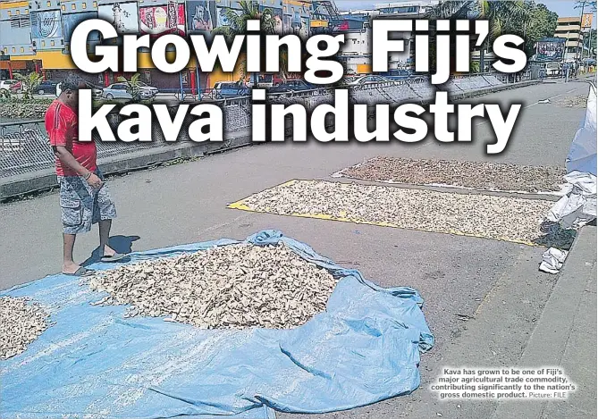  ?? Picture: FILE ?? Kava has grown to be one of Fiji’s major agricultur­al trade commodity, contributi­ng significan­tly to the nation’s gross domestic product.