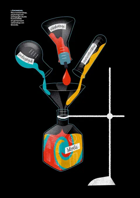  ??  ?? LÄROMEDEL Neuroveten­skap, psykologi och pedagogik skulle kunna bilda en gemensam vetenskap om lärande.