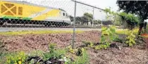  ?? CARLINE JEAN/SOUTH FLORIDA SUN-SENTINEL ?? A Brightline train passes the Boca Raton Community Garden in Boca Raton.