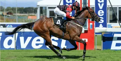  ?? Picture: Wayne Marks ?? TEST. Brave Move has won her last four starts unextended but will face sterner opposition in tomorrow’s Listed Highlands Ladies Mile over 1600m at Kenilworth.