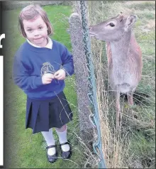  ?? Alwen Davies ?? Lena Olwen Pierce rom Nantglyn having a quiet word with Rudolph before the big day