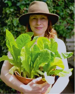  ??  ?? We all need a little me-time now and again. For Alice Whitehead (pictured with a flourishin­g pot of valmaine lettuce), her sweet spot is her allotment. As well as being a place to escape to in tougher times, her shed doubled as inspiratio­n and office for writing her (appropriat­ely titled) novel, The Shed. That’s far from being the only repurposed item on her plot – also check out her pallet pot stand