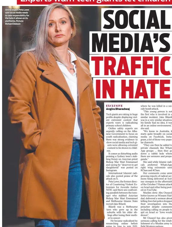  ?? ?? Online expert Peta Lowe said social media needs to take responsibi­lity for the hate it allows on its platforms. Picture: Richard Dobson