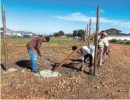 ?? ?? ENVIRONMEN­TALLY CONSCIOUS: Lusanda Msebi, centre, and residents Fikile Desi, left, and Nosizwe Dingaan, prepare the ground for gardening as part of a Motherwell Community and Enviro Hub activity