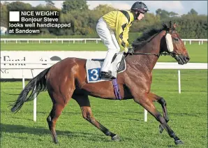  ??  ?? NICE WEIGHT: Bonjour Steve looks well handicappe­d at Sandown