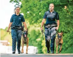 ?? Foto: dpa ?? Die Diensthund­e Simba (rechts) und Surt gehen mit ihren Diensthund­eführerinn­en eine Straße entlang. Simba und Surt sind Schutzhund­e der Polizei.