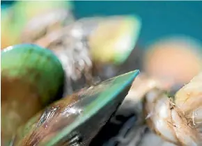  ?? SUPPLIED ?? Sanford is working to create New Zealand’s greenest mussel farm in Pelorus Sound.