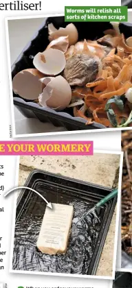  ??  ?? Worms will relish all sorts of kitchen scraps