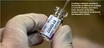  ?? AP ?? Creating a methane vaccine is technicall­y as difficult as creating a Covid-19 vaccine, says Harry Clark, director of the New Zealand Agricultur­al Greenhouse Gas Research Centre.