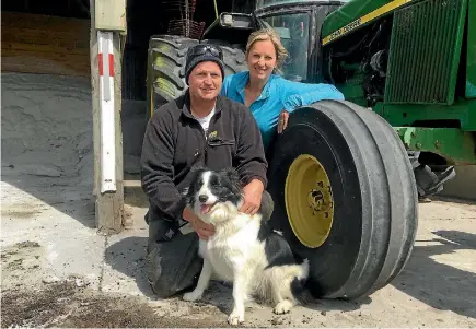  ??  ?? The autumn calving operation on Andy and Lisa Tippett’s Okaiawa farm is in its third year.