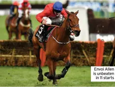  ??  ?? Envoi Allen is unbeaten in 11 starts