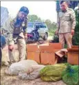  ?? SUPPLIED ?? Pursat police and Forestry Administra­tion confiscate 83kg of snakes last week.