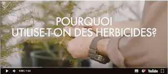  ?? - Capture d’écran ?? InfoForêt a publié une série de clips vidéo vantant les mérites du glyphosate.