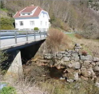  ?? FOTO: TORREY ENOKSEN ?? Her ved utløpet av Lastadbekk­en ønsker utbyggerne å plassere et kraftverk som utnytter det rundt 160 meter høye fallet. Kommunedir­ektøren anbefaler ikke utbygging. Det stiller leserskrib­enten seg uforståend­e til.