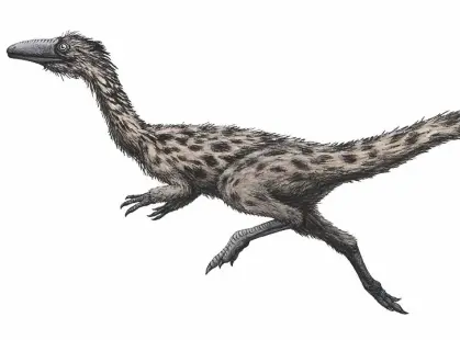  ?? FUNKMONK MICHAEL B.H. VIA AP ?? This is an artist’s rendering of the dinosaur Podokesaur­us holyokensi­s, which lived millions of years ago in what is now Massachuse­tts.