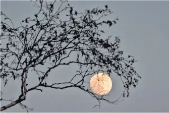  ??  ?? Heavy cloud cover kept Sylvie Theriault from seeing the last two supermoons. She says: “Just in case, I snapped a photo of the moon Monday evening from Loon Lake, Dartmouth, N.S. It looks pretty full.